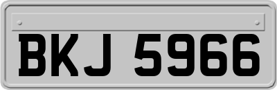 BKJ5966