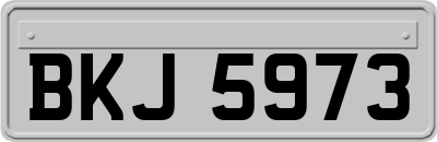 BKJ5973