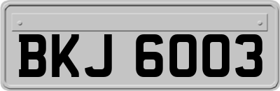 BKJ6003
