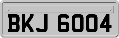 BKJ6004