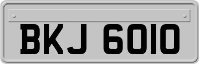 BKJ6010