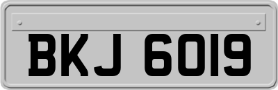BKJ6019