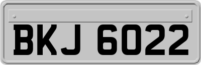 BKJ6022