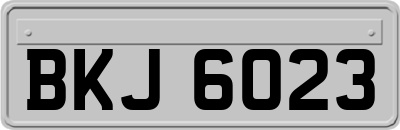 BKJ6023