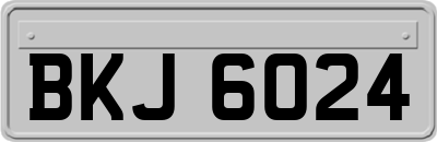 BKJ6024