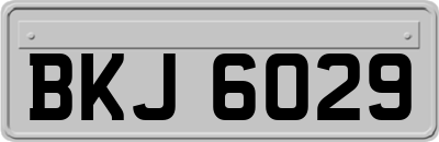 BKJ6029