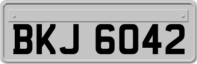 BKJ6042