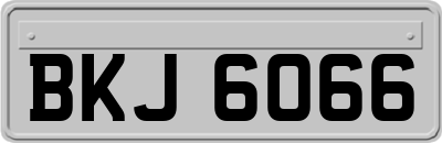 BKJ6066