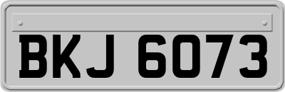 BKJ6073