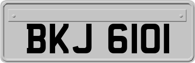 BKJ6101