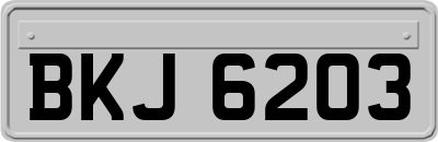 BKJ6203