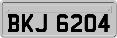 BKJ6204