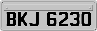BKJ6230
