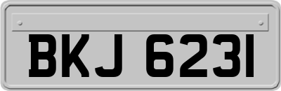 BKJ6231