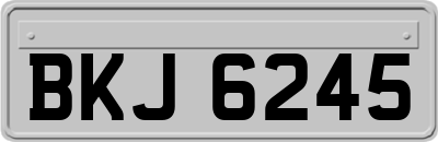 BKJ6245