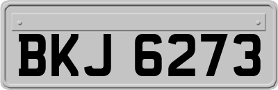 BKJ6273