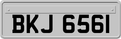 BKJ6561