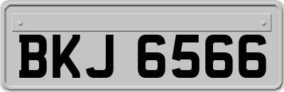 BKJ6566
