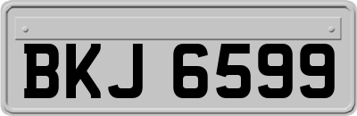 BKJ6599