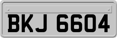 BKJ6604