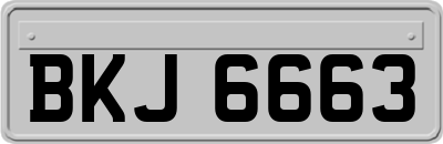 BKJ6663