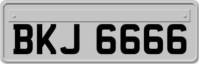 BKJ6666