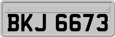 BKJ6673