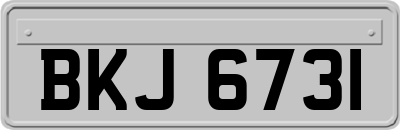 BKJ6731