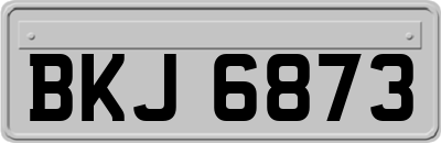 BKJ6873