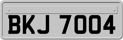 BKJ7004