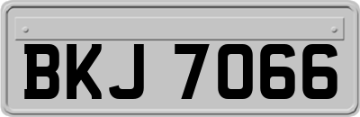 BKJ7066