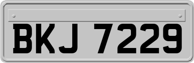 BKJ7229