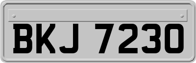 BKJ7230