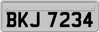 BKJ7234