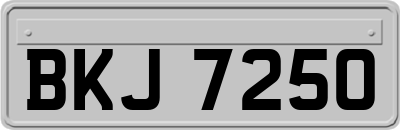 BKJ7250