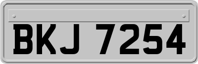BKJ7254
