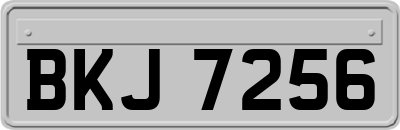 BKJ7256