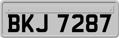 BKJ7287