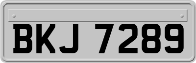 BKJ7289