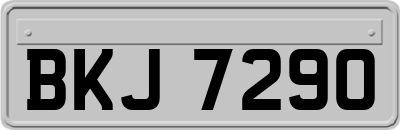 BKJ7290