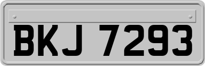 BKJ7293