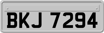 BKJ7294