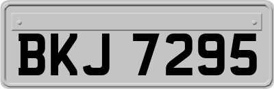 BKJ7295