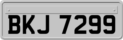 BKJ7299