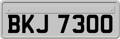 BKJ7300