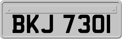 BKJ7301