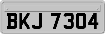 BKJ7304