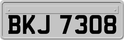 BKJ7308