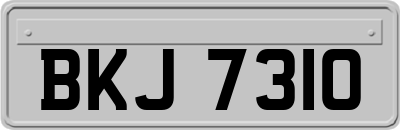 BKJ7310