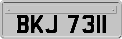 BKJ7311